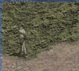 1791391480656 (1).gif
